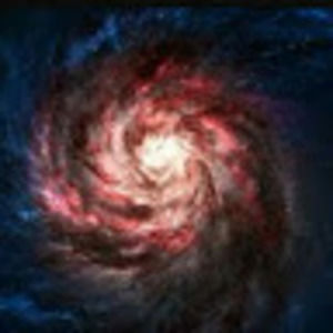 Meet your Posher, Zain